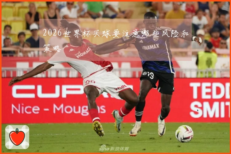 2026世界杯买球要注意哪些风险和策略