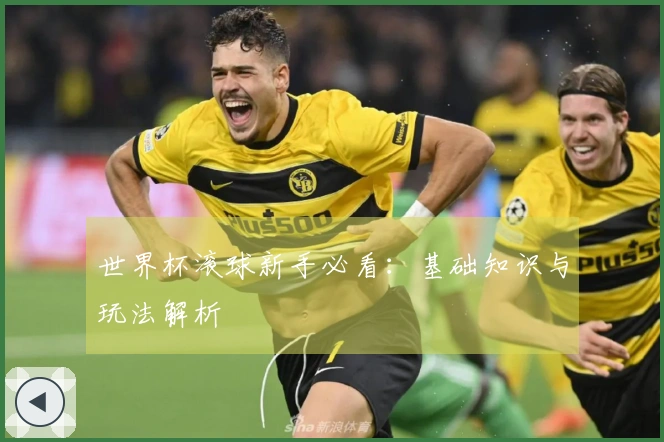 世界杯滚球新手必看：基础知识与玩法解析