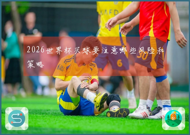 2026世界杯买球要注意哪些风险和策略