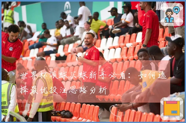 世界杯滚球买球新手必看：如何选择最优投注思路分析
