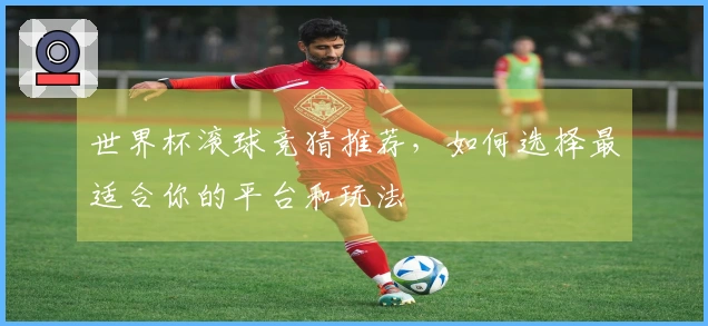 世界杯滚球竞猜推荐，如何选择最适合你的平台和玩法